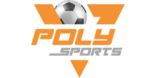 Poly Color logo